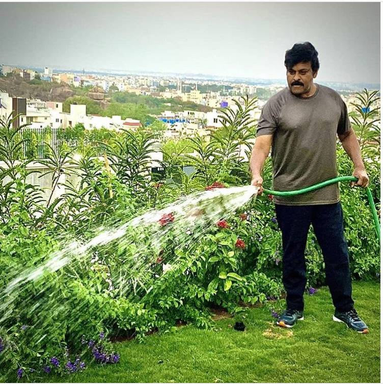 Chiranjeevi spends good time during isolation-Picture Inside1