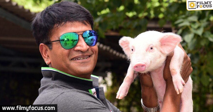 RaviBabu Piglet Movie Title Adhugo!