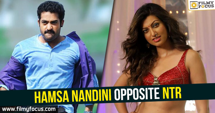 Hamsa Nandini opposite NTR?