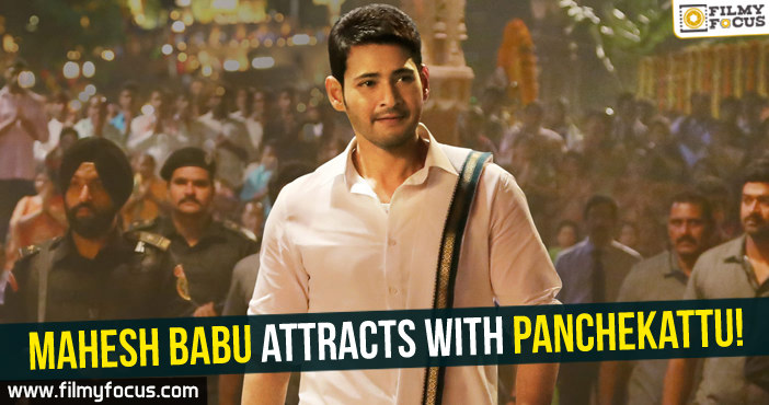 Mahesh Babu attracts with Panchekattu!