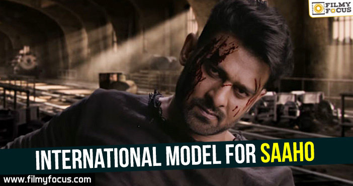 International model for Saaho