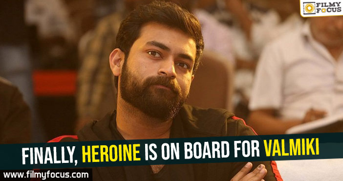 Finally, heroine is on board for Valmiki