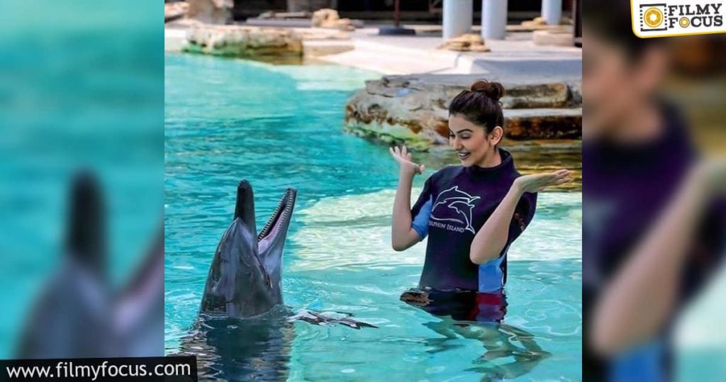 Rakul Preet Makes This Sea Mamal Happy