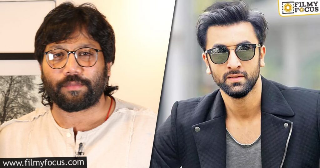 Sandeep Reddy And Ranbir Film Back In Business