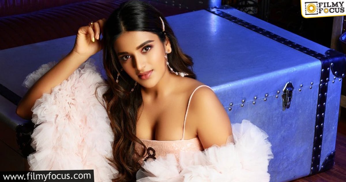 Nidhhi Agerwal says Ismart Shankar changed her in many ways