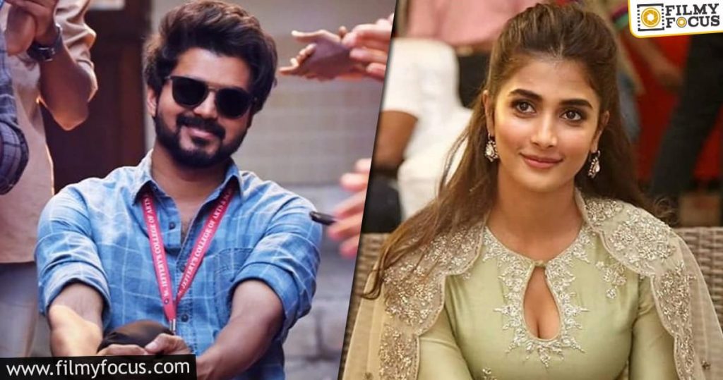 Pooja Hegde will now team up with Vijay? - Filmy Focus