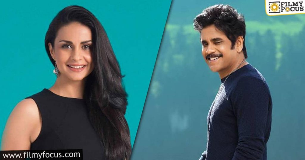 Gul Panag Making Her Tollywood Debut With Nag's Film