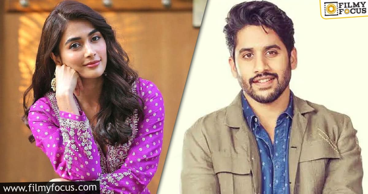 Pooja Hegde to work with Naga Chaitanya?