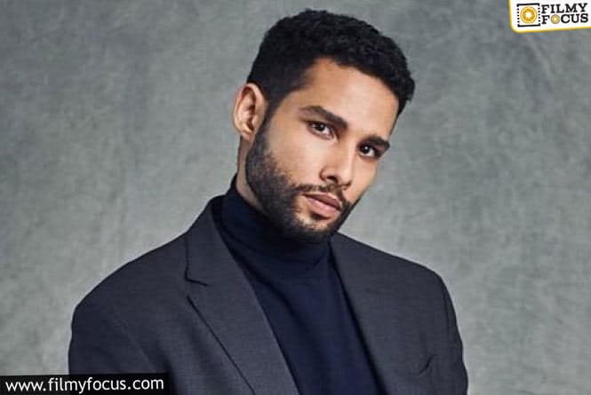 Siddhant Chaturvedi to Show Some Desi Tadka