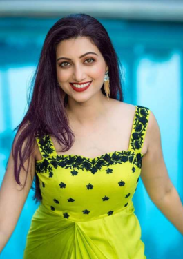 Hamsa Nandini image