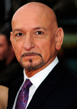 Ben Kingsley image