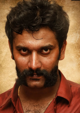 Arulnithi image