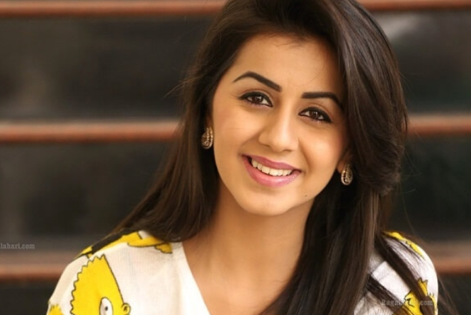 Nikki Galrani : Biography, Age, Movies, Family, Photos, Latest News ...