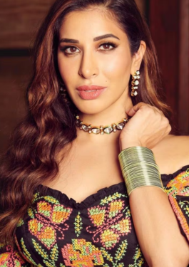 Sophie Choudry image