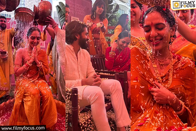 Chaitanya And Sobhita Joyful Wedding Celebrations Begin