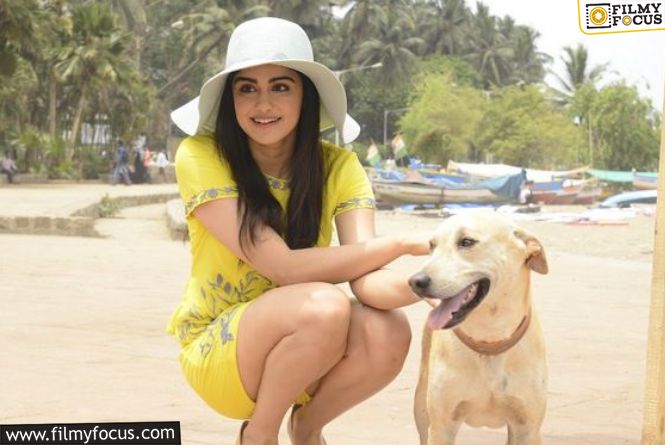 Adah Sharma Honored As PETA India’s 2024 Person Of The Year