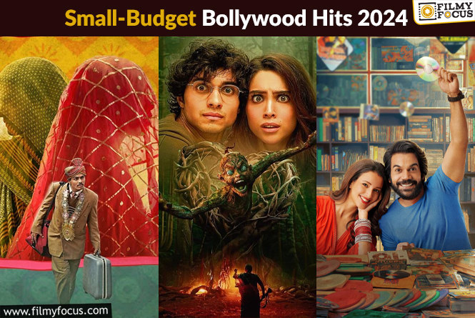 Low-Budget Bollywood Movies That Became A Roaring Success In 2024