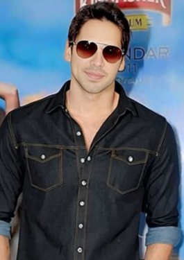 Dino Morea image