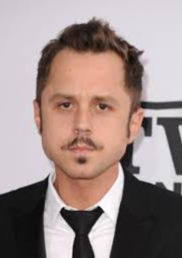 Giovanni Ribisi image
