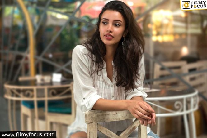 Triptii Dimri Breaks Silence On Rumoured Romance