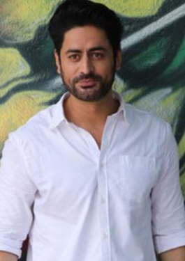 Mohit Raina image