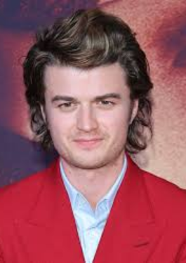 Joe Keery image