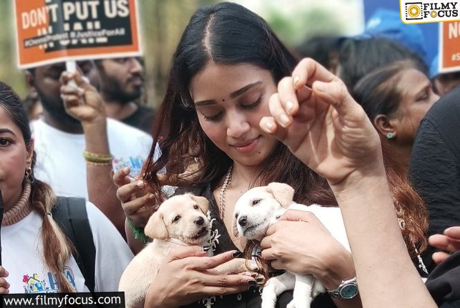Nivetha Responds To Backlash On Dog Bite Controversy